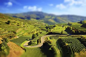 German Wine Region Prints: Kaiserstuhl