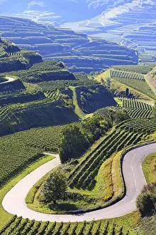 European Uplands Photography Prints: Kaiserstuhl