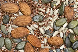 Almond Kernels Prints: Kernels, mix of almond kernels