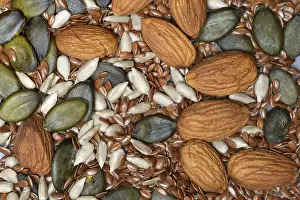 Almond Kernels Prints: Kernels, mix of almond kernels