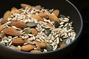 Sunflower Seed Mix Prints: Kernels in shell, kernel mix of almond seeds