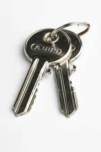 Single Colored Background Prints: Key ring with two keys on a key ring
