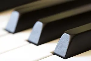 Black And White Studio Photography Prints: Keyboard
