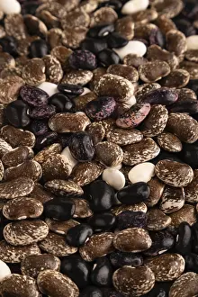 Nature Photography Details Prints: Kidney beans texture, side view