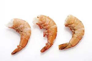 Prints of King prawns King Prawn Prints: King Prawns Print from the Ocean