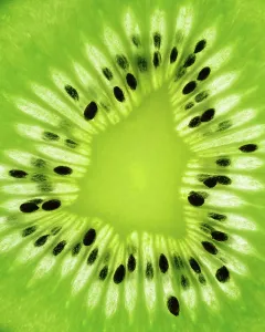 Kiwi Fruit Images Prints: Kiwi Fruit