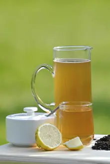 Healthy Beverage Prints: Kombucha