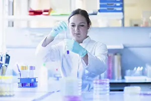 Lab Technician Prints: Lab technician pipetting a sample in the lab