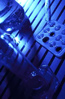 Glass Laboratory Equipment Prints: Laboratory