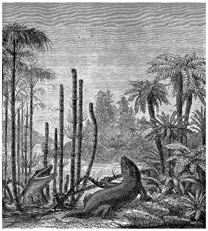 Deserted Landscape Artwork Prints: The labyrinthodonts, mastodonsaurus