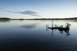 Scandinavian Lake Landscape Prints: Lake in the evening, surrounded by forest