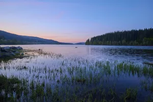 Black Forest Morning Scene Prints: Lake, Forest, Twilight, Cloudless