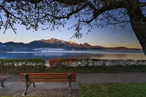 Bavaria Germany Scenery Prints: Lake, reflection, bench, tree, park bench