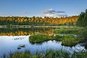 Calm Water Reflections Prints: Lake with reflection in evening light