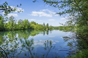 Reflective Lake Surface Prints: Lake with reflection of the landscape