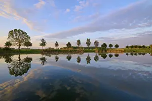 Evening Light Landscape Photo Prints: Lake in spring with row of trees and reflection at sunset