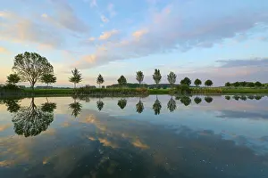 Thuringia Lake Prints: Lake in spring with row of trees and reflection at sunset