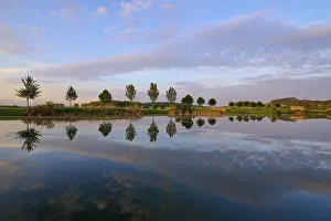 Thuringia Lake Prints: Lake in spring with row of trees and reflection at sunset