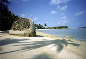 Palm Tree Beach Prints: Lamai beach