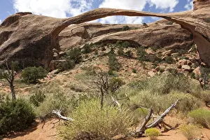 Utah USA Landmark Prints: Landscape Arch in Devil's Garden