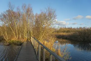 De Deelen Landscape Conservation Area Prints: Landscape with bridge in the evening light