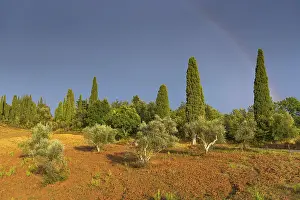 Colourful European Landscapes Prints: Landscape in the evening light