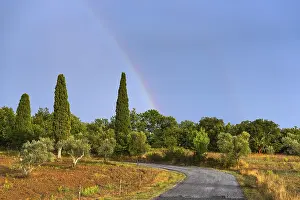 Rainbow In The Sky Prints: Landscape in the evening light