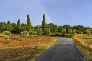 Rainbow In The Sky Prints: Landscape in the evening light