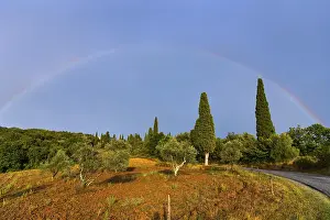 Rural Italy Scenery Prints: Landscape in the evening light