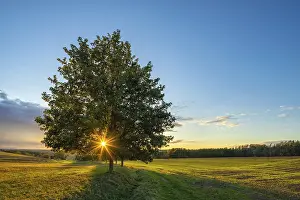 Burgenlandkreis Landscape Prints: Landscape with fields at sunset
