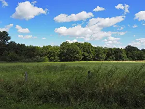 Images Dated 24th August 2024: Landscape Print of Lower Rhine Region, Germany