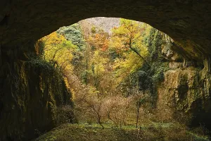 European Cave Photography Prints: The landscape inside the cave. An ecosystem with a river and trees inside a rock