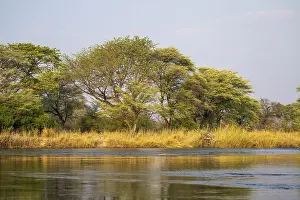Deserted Waterfront Africa Prints: Landscape on the Kavango River