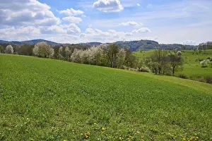 Low Mountain Range Europe Prints: Landscape, low mountain range, spring