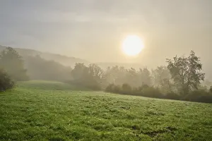 Cloudy Morning Sky Prints: Landscape, meadow, forest, clouds