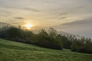 Cloudy Morning Sky Prints: Landscape, meadow, forest, clouds
