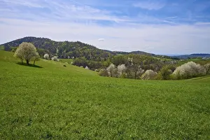 Odenwald Scenery Prints: Landscape, meadow, low mountain range
