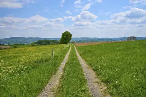 Cloudy European Landscape Prints: Landscape, meadow path, clouds