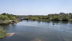 Okavango River Landscape Prints: Landscape on the Okavango River