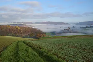Autumn Forest Germany Prints: Landscape, path, field, forest