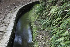 Madeira Island Landscape Prints: Landscape, Rabacal excursion area