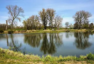 Landscape Photography Germany Prints: Landscape on the river Oder in spring