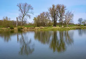 Spring In Germany Prints: Landscape on the river Oder in spring