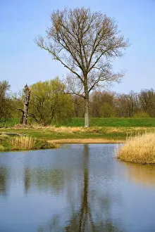 Landscape Photography Germany Prints: Landscape on the river Oder in spring