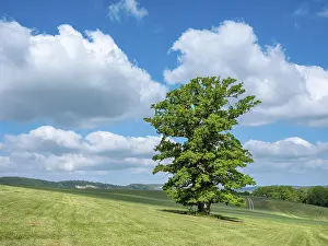 Natural Monument Thuringia Prints: Landscape in the Thuringian Rhon