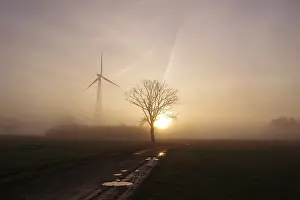 Morning Atmosphere Germany Prints: Landscape, tree, wind generator
