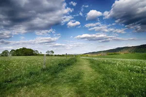Spring Landscape Photography Prints: Landscape with trees in spring