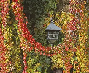 Deserted Countryside View Prints: Lantern in autumn