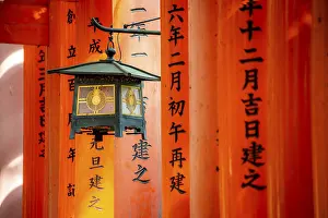 Shinto Shrine Architecture Prints: Lantern between red torii gates
