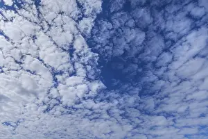 Nice Weather In Germany Prints: Large altocumulus clouds, Germany